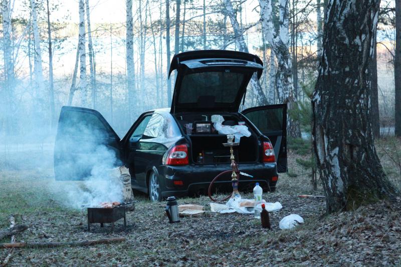 Шашлыки за 500 тысяч рублей. Шашлыки за 500 тысяч рублей.