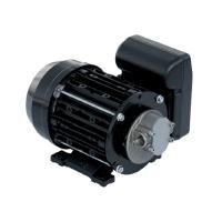 Насос Garda 5  220V NMT450006